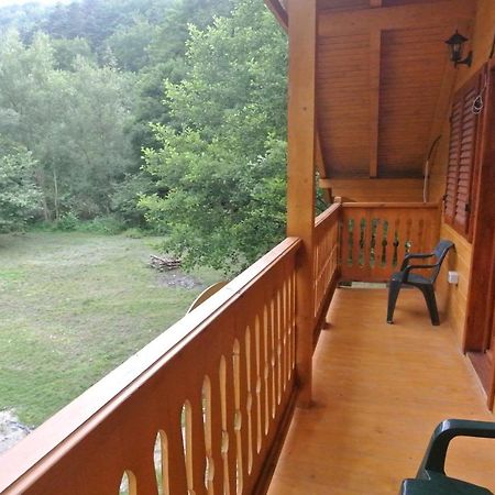 Chalet By The River Văliug Exteriér fotografie