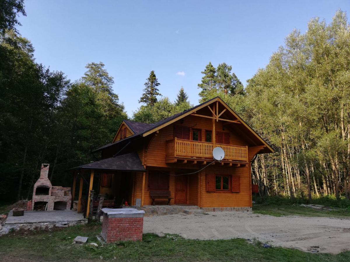 Chalet By The River Văliug Exteriér fotografie