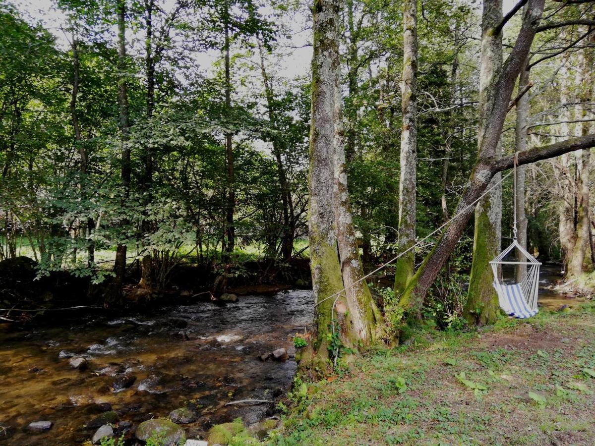 Chalet By The River Văliug Exteriér fotografie
