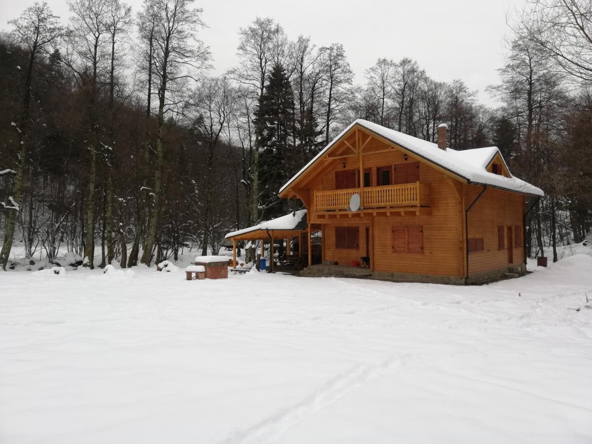 Chalet By The River Văliug Exteriér fotografie