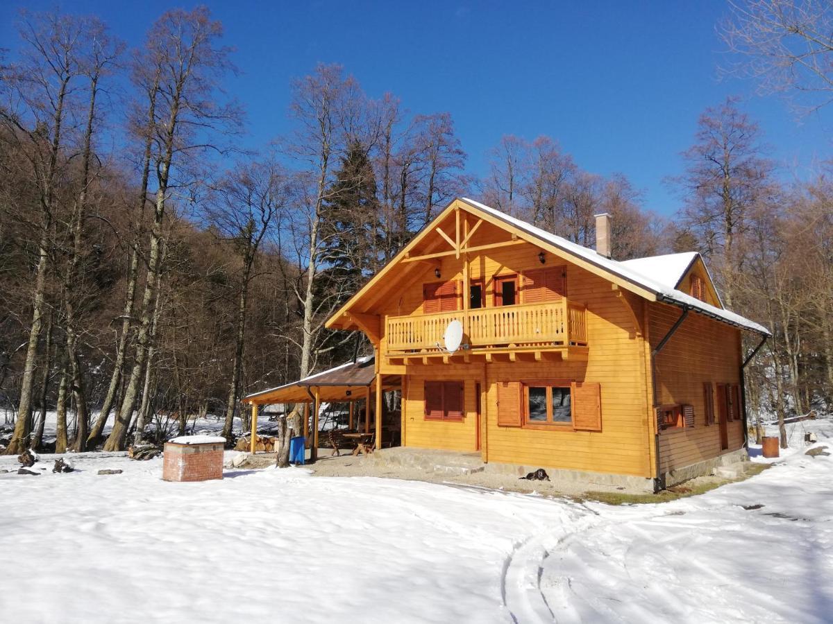 Chalet By The River Văliug Exteriér fotografie