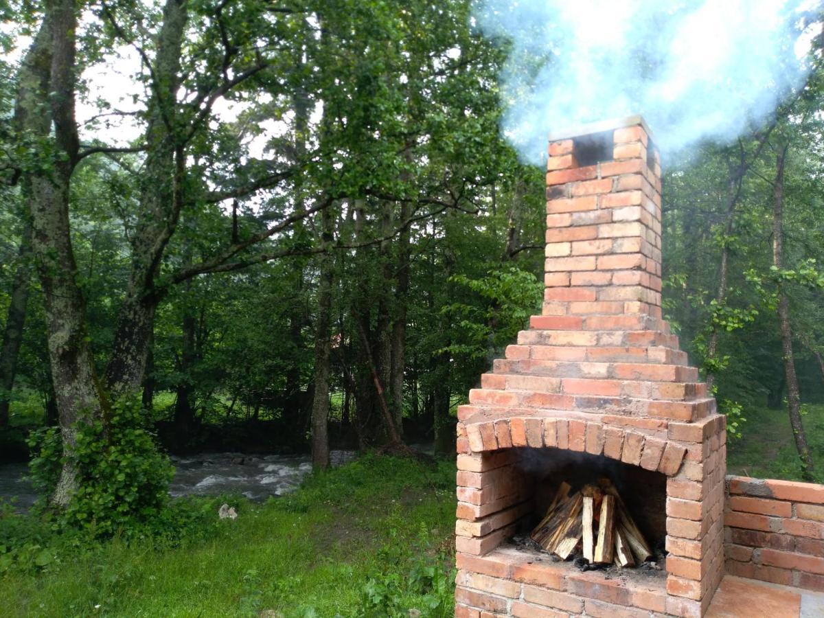 Chalet By The River Văliug Exteriér fotografie