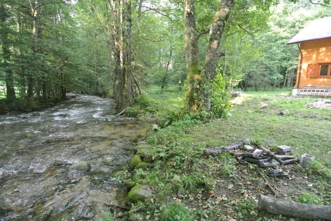 Chalet By The River Văliug Exteriér fotografie