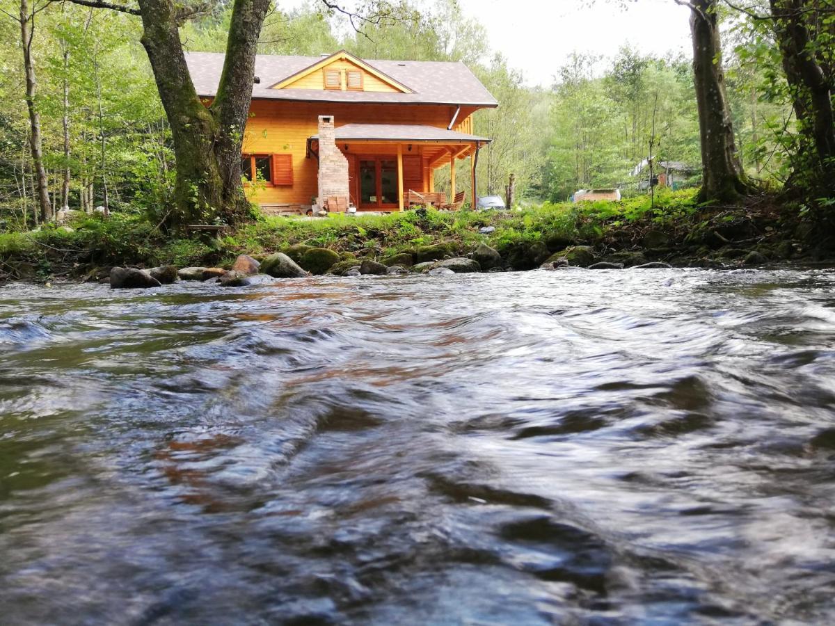 Chalet By The River Văliug Exteriér fotografie