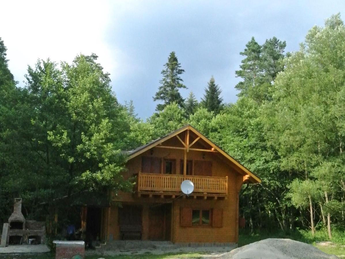 Chalet By The River Văliug Exteriér fotografie